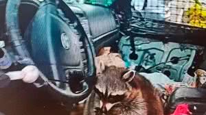 Foto: Reprodução/Redes Sociais