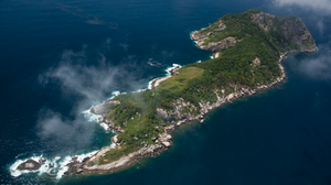 Ilha da Queimada Grande, em São Paulo - João Marcos Rosa / Divulgação / ICMBio