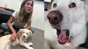 Logo após perceber o erro, a atriz apagou a imagem na rede social - Reprodução / Instagram