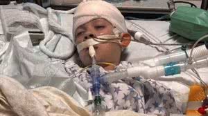 Foto: Reprodução/Redes Sociais