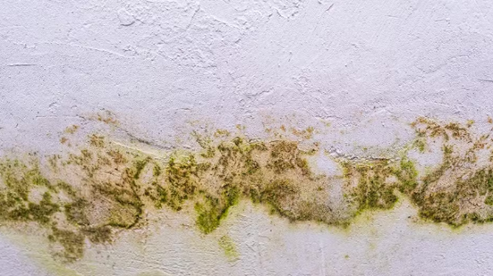 Mateus Andre / Freepik