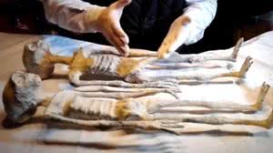 Foto: Reprodução/X