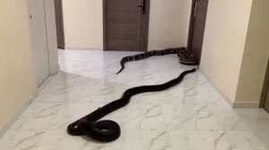 Foto: Reprodução/Youtube