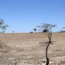 Imagem meramente ilustrativa - Foto: Arquivo TNH1