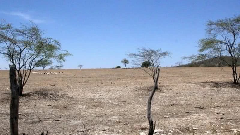 Semarh divulga alerta para o fim de semana após umidade do ar despencar em Alagoas