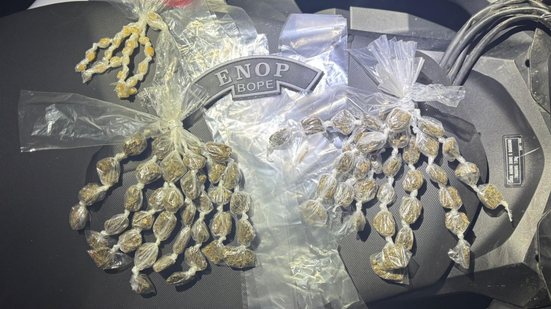 PM inicia mês de maio com 21 armas de fogo retiradas de circulação em Alagoas - PMAL