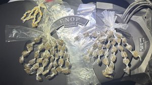 PM inicia mês de maio com 21 armas de fogo retiradas de circulação em Alagoas - PMAL