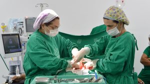 Marco Antônio/Sesau