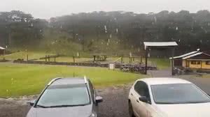 Nevou no Brasil! SC e PR amanhecem com surpresa gelada e ruas branquinhas - Reprodução / Redes sociais