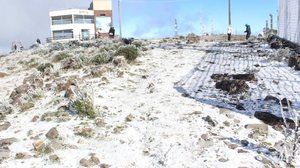 Sincelo deixou Morro das Torres em Urupema coberto de branco — - Foto: Marleno Muniz Farias/Prefeitura de Urupema