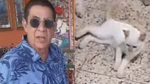 Zeca Pagodinho faz apelo para encontrar gata desaparecida - Reprodução / Instagram