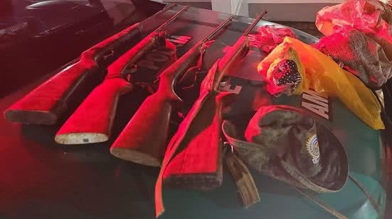 Imagem Operação apreende armas, drogas e animais silvestres na Região Metropolitana