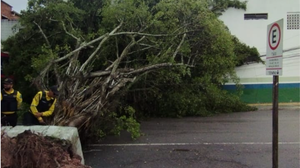 Motoristas estão sendo orientados a desviar a rota por outras ruas - Foto: Cortesia ao TNH1