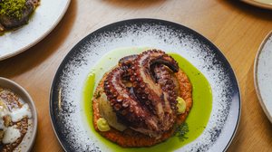 Imagem Polvo Guerreiro, uma das estrelas do Café Engenho