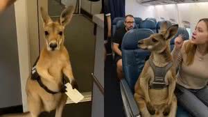 Reprodução/Redes sociais