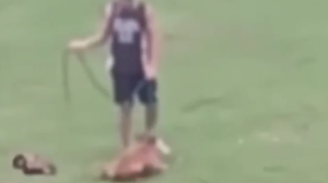 Suspeito confessou as agressões, - Foto: Reprodução