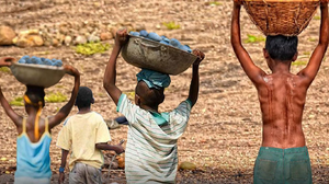 86% dos casos envolviam as piores formas de trabalho com risco à saúde - Foto: TRT