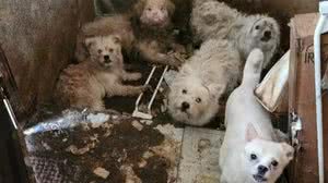 Foto: Reprodução/Redes Sociais