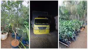 Foto: Reprodução/PM-MG