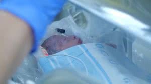 Foto: Reprodução/CNN