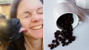 Foto: Reprodução/Freepik