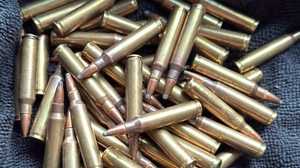 Imagem Bope apreende munições de fuzil em residência abandonada após denúncia anônima