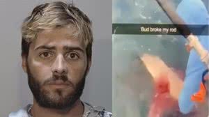 Pescador é preso por esfaquear tubarão após animal morder peixe nos EUA - Reprodução