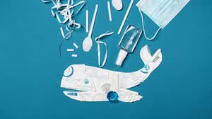 Foto: Reprodução/Pexels