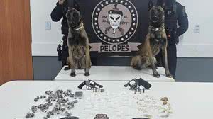 Imagem PM apreende armas de fogo, drogas e recupera veículos roubados