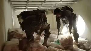 PRF aprende 5,3 toneladas de maconha congelada em carga de peixe - Divulgação / PRF