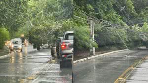 Imagem Queda de árvore provoca tombamento de poste no acesso ao Aldebaran; trânsito é bloqueado