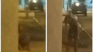 A mulher foi encontrada ferida em calçada de rua - Reprodução/Vídeo