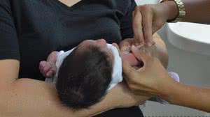 Foto: Ilustrativa/Arquivo TNH1