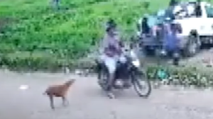 Reprodução / TV Pajuçara