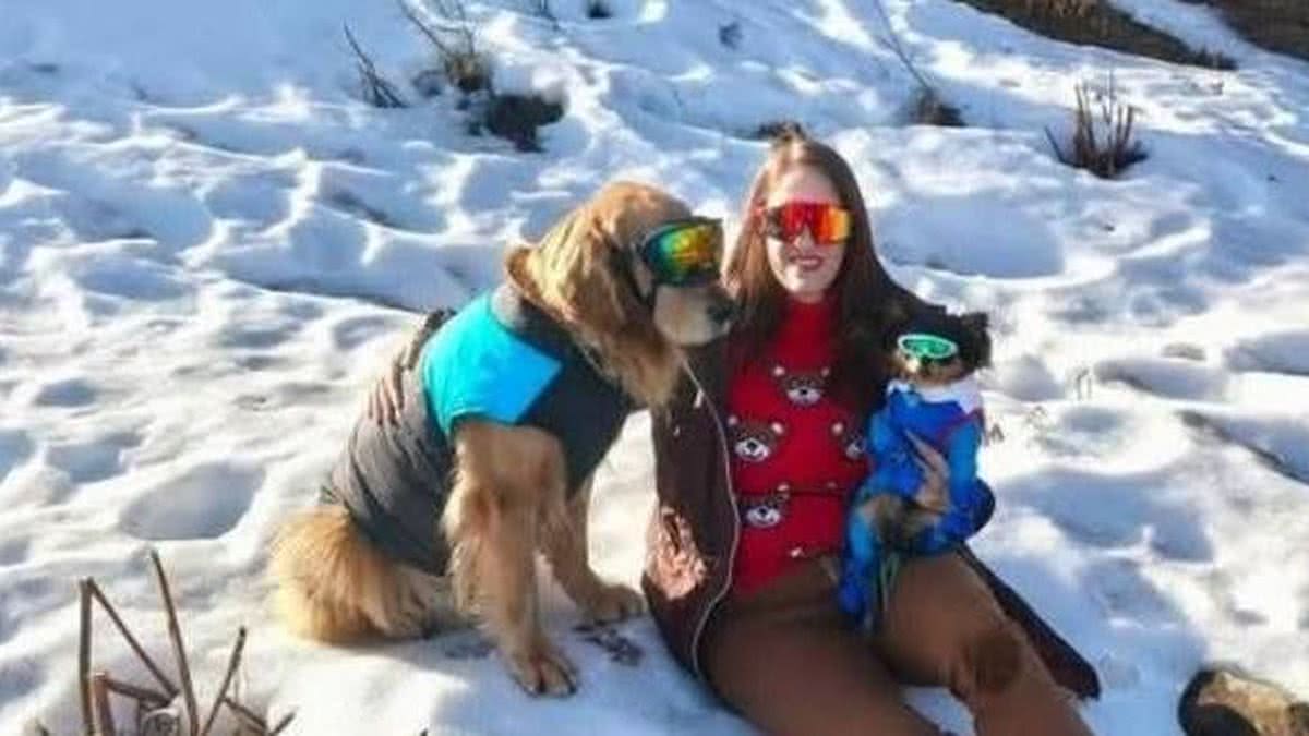 Alma Labibi Brasileira que viajava com a mãe e dois cachorros morre em acidente de ...