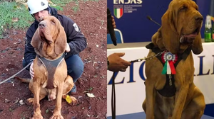 Reprodução / Facebook