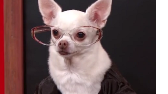 Ilustração : YouTube