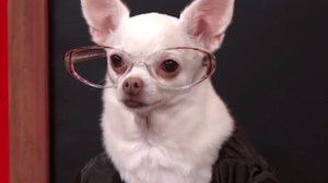 Ilustração : YouTube