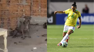 Divulgação / PC e Lívia Villas Boas / CBF