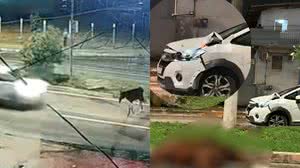 Reprodução/Redes sociais