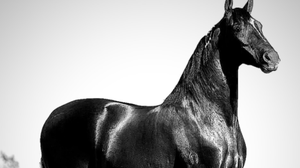 Reprodução / Instagram