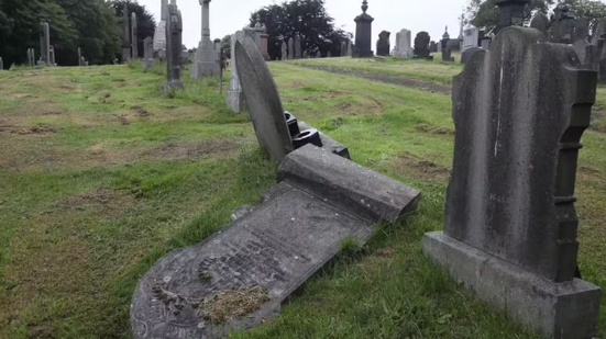 Reprodução / Mirror