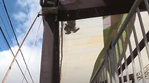 Reprodução/TV Pajuçara