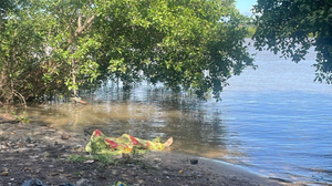 Populares informaram à polícia da existência do corpo - Foto: Cortesia ao TNH1