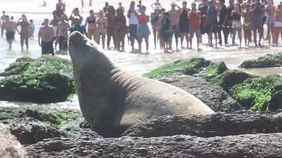 Lucas Benevides/Divulgação