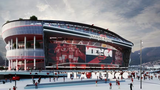 Divulgação / Flamengo