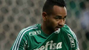 Cesar Greco/Palmeiras