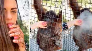 Reprodução/Redes sociais