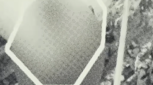 Divulgação / Governo de Alagoas