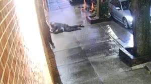 Reprodução/Youtube